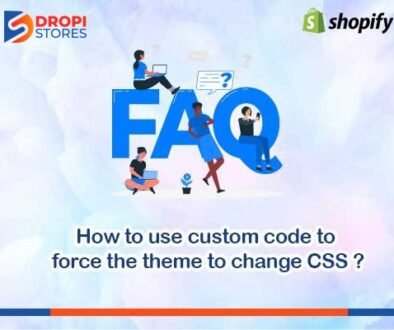dropistores-How-to-use-custom-code-to-force-the-theme-to-change-css